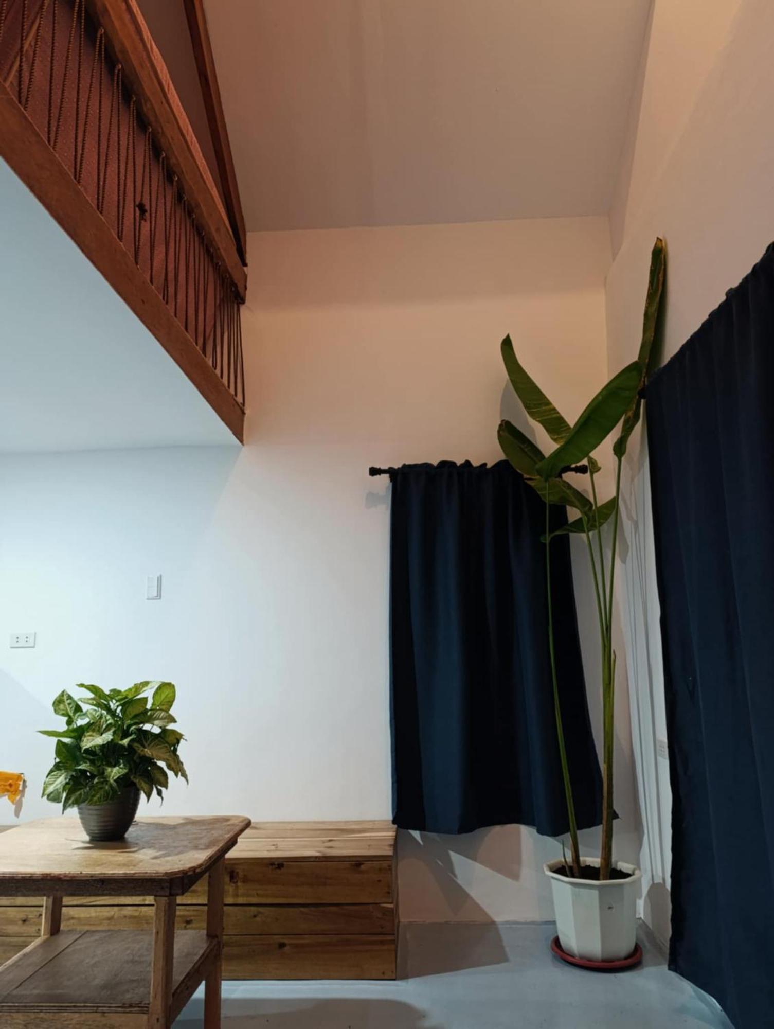 Helmina'S Villas 제너럴 루나 외부 사진